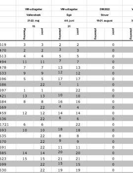 Rangliste 2022