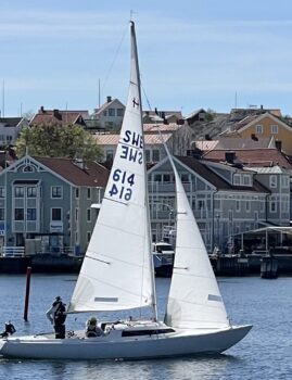 Botnia 1993